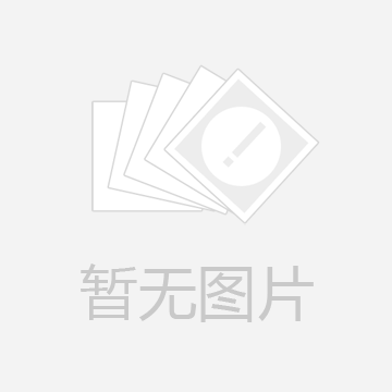 電子皮帶秤介紹